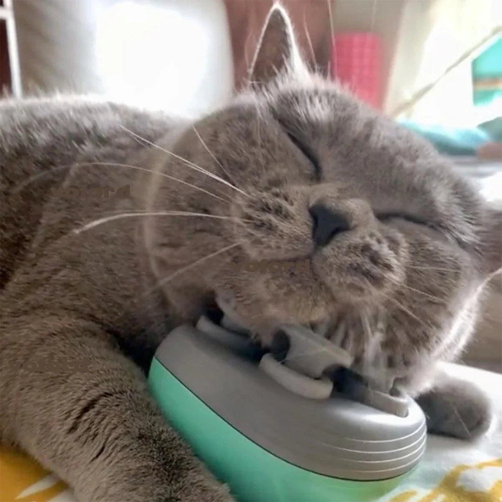 Electric Cat & Dog Massager
