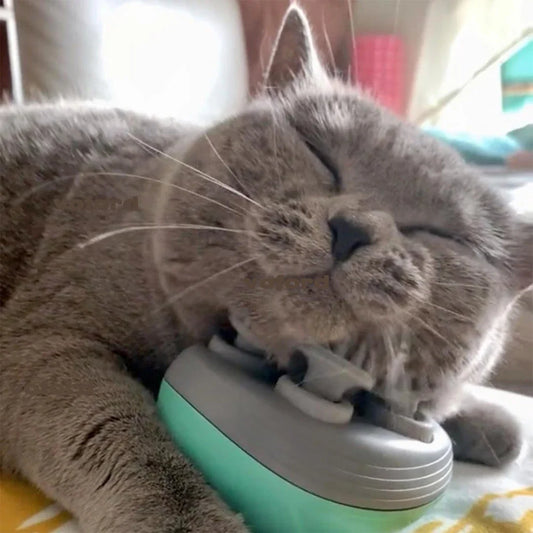 Electric Cat & Dog Massager