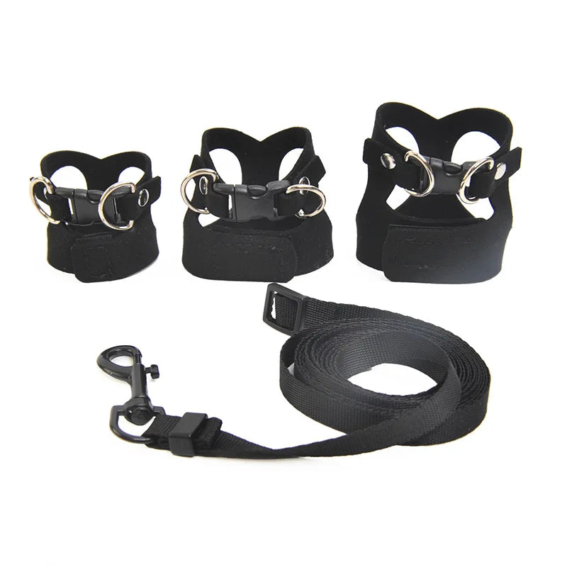 Reptile Harness Leash Set