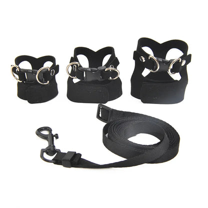 Reptile Harness Leash Set