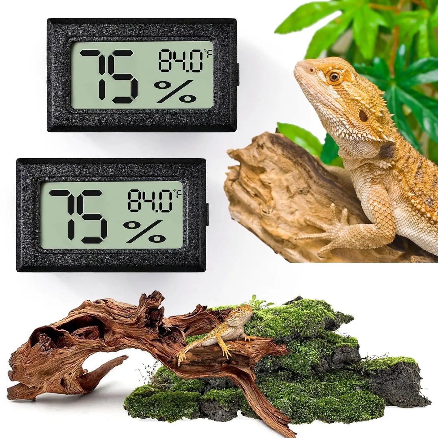 Reptile Thermometer & Humidity Gauge