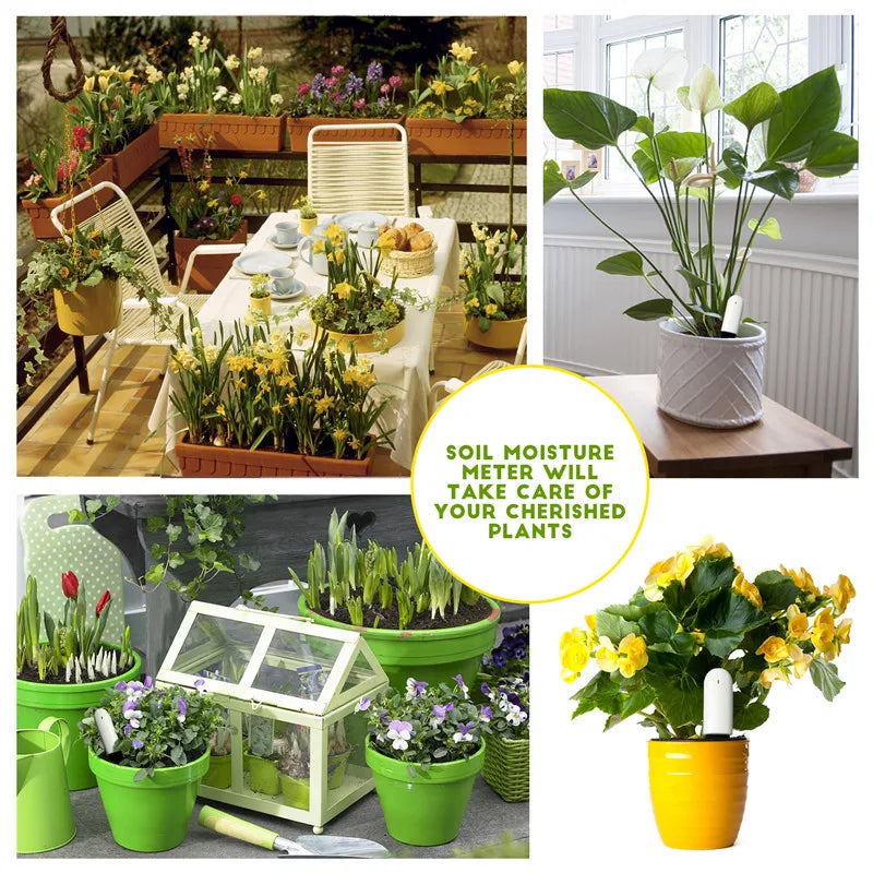 Smart Plant Monitor Sensor