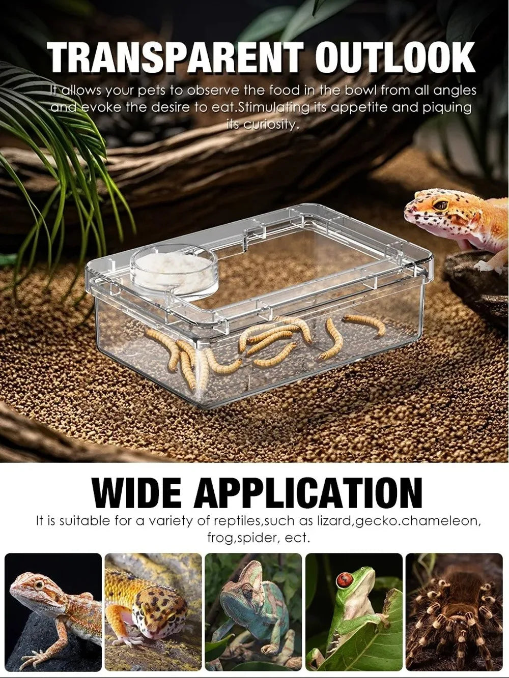 Anti-Escape Reptile Feeding Bowl
