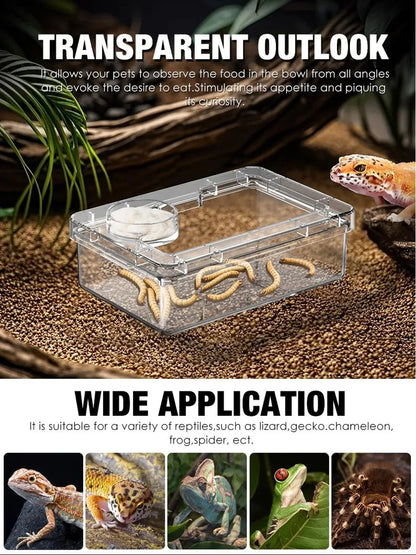 Anti-Escape Reptile Feeding Bowl