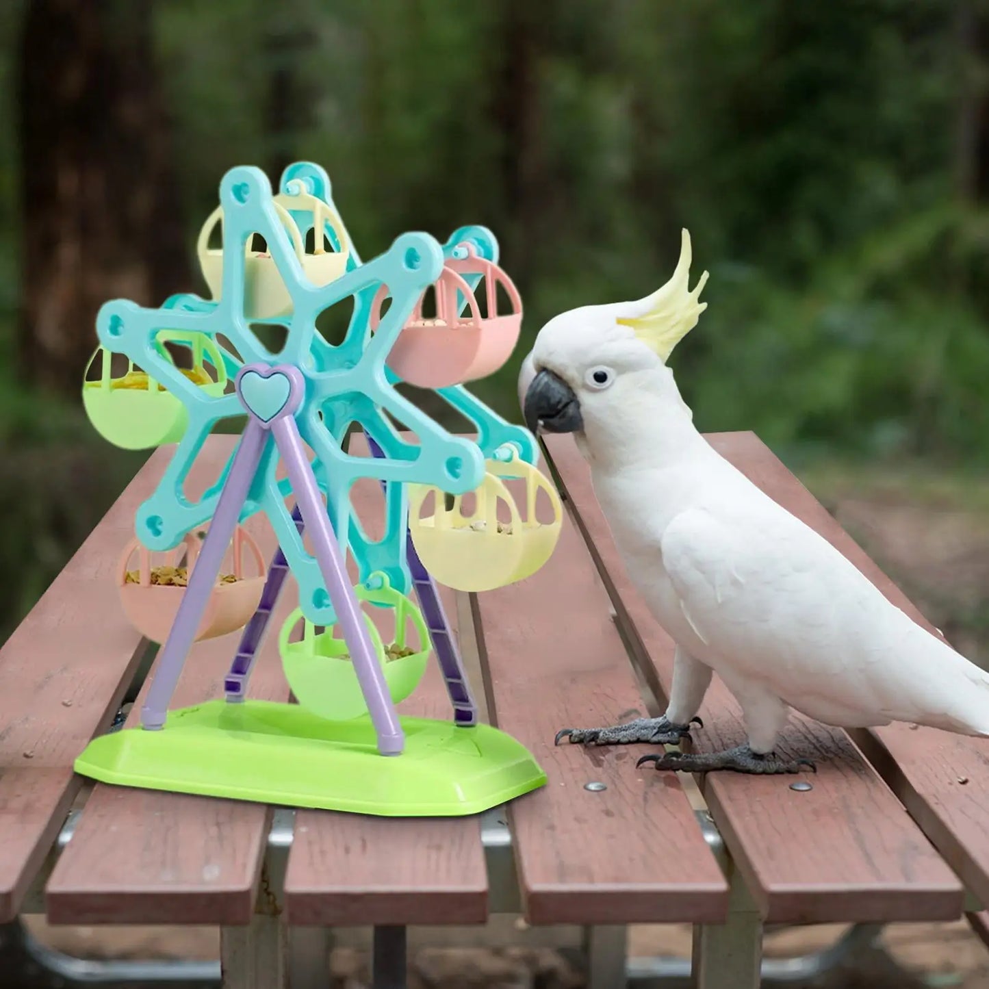 Interactive Bird Ferris Wheel Feeder Toy