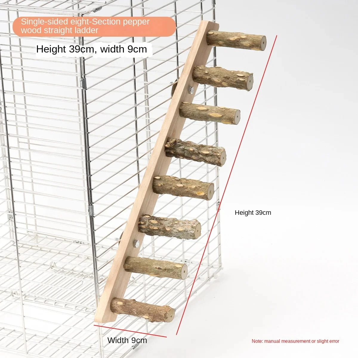 Bird Climbing Ladder