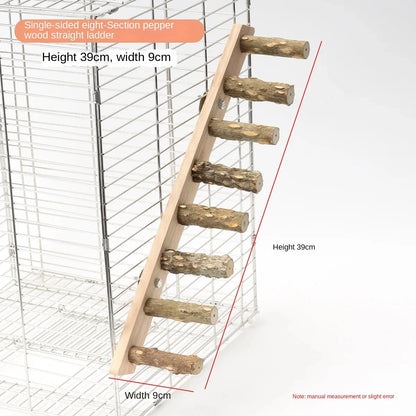 Bird Climbing Ladder