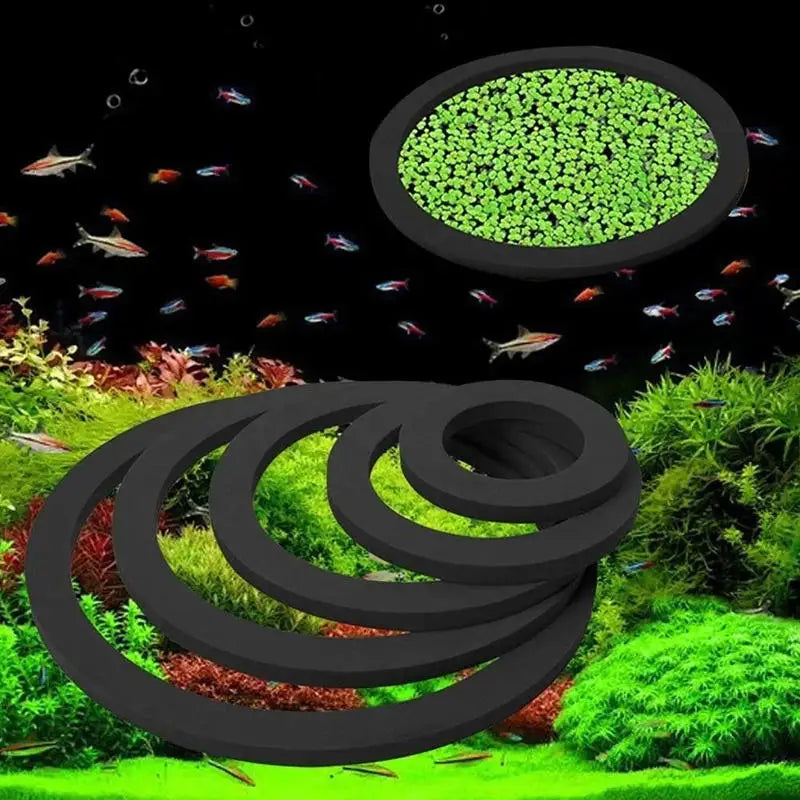 Aquarium Floating Plant & Feeding Ring Set