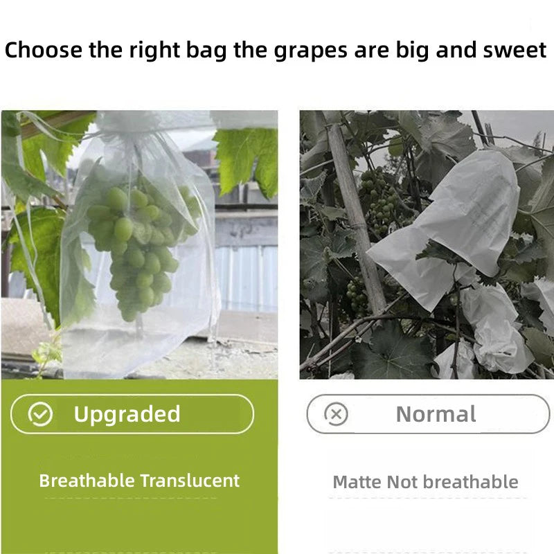 Fruit Protection Grow Bags