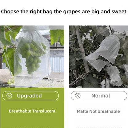 Fruit Protection Grow Bags