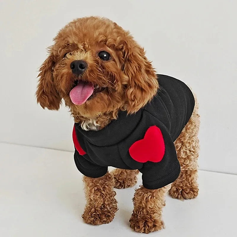 Winter Warm Pet Sweater