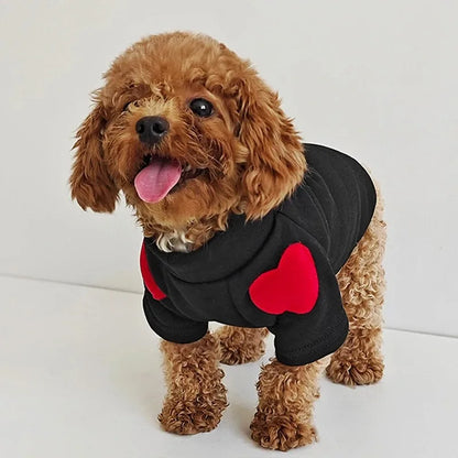 Winter Warm Pet Sweater