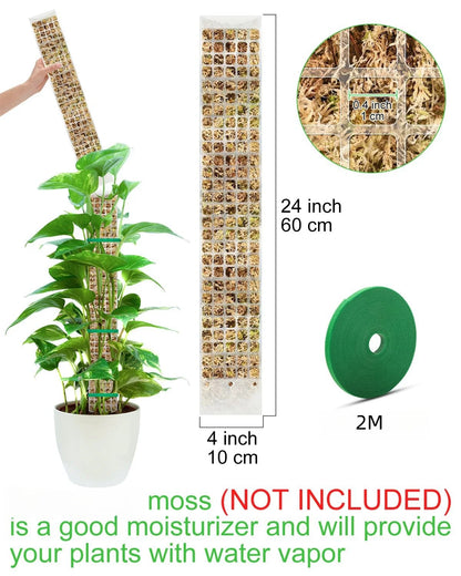 Transparent Plant Moss Pole Support