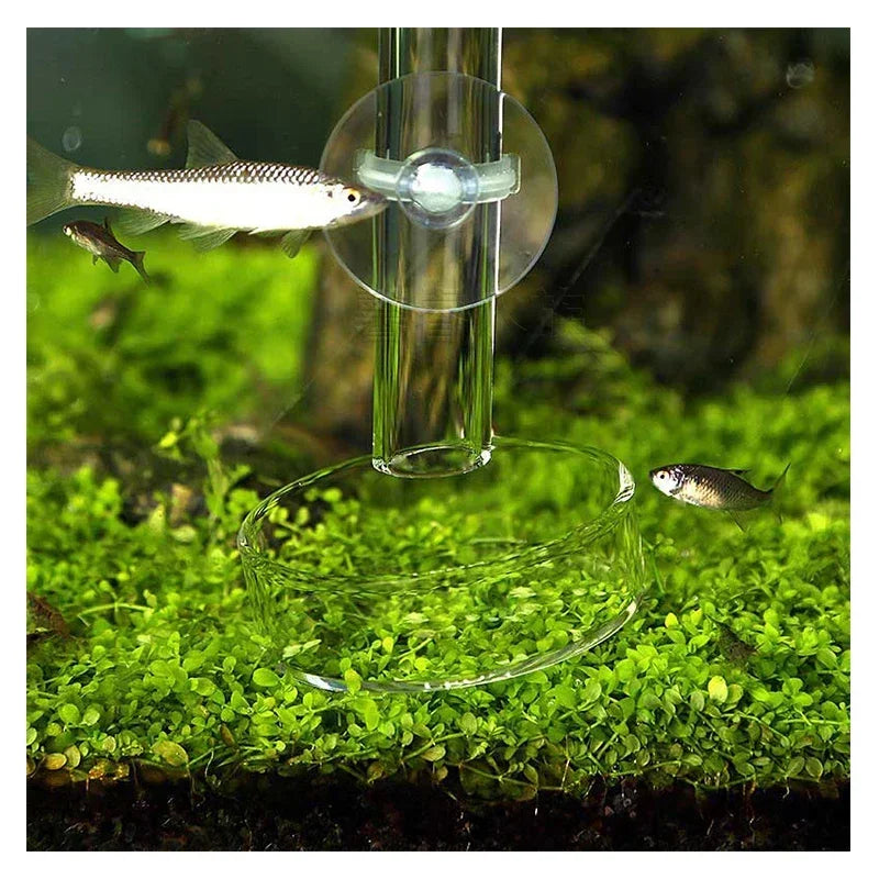 Glass Aquarium Shrimp Feeding Dish & Feeding Tube Set