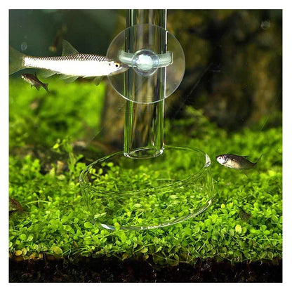 Glass Aquarium Shrimp Feeding Dish & Feeding Tube Set