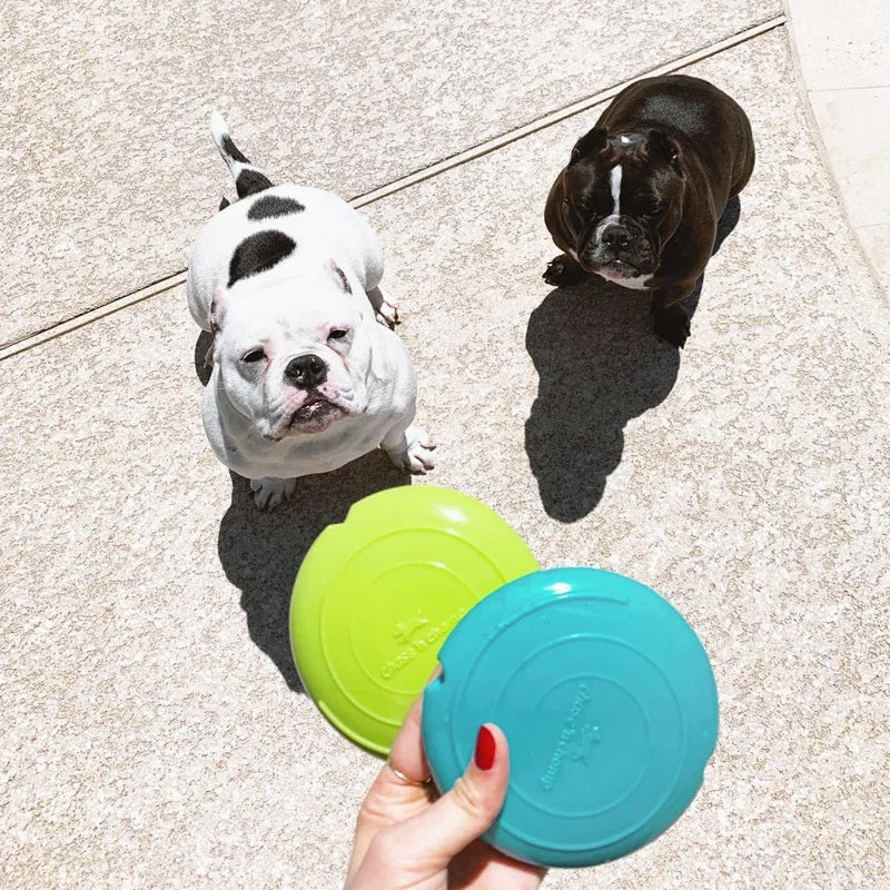 Interactive Squeaking Treat Dispensing Dog Disc