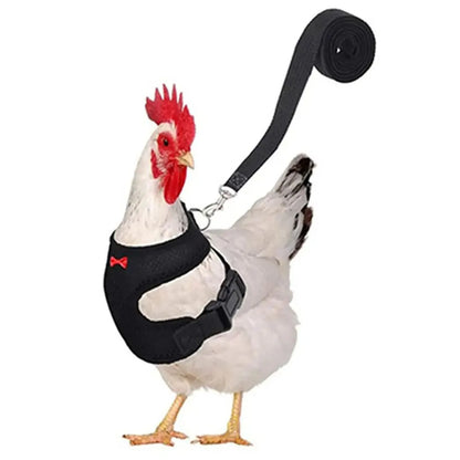 Adjustable Chicken Harness & Leash