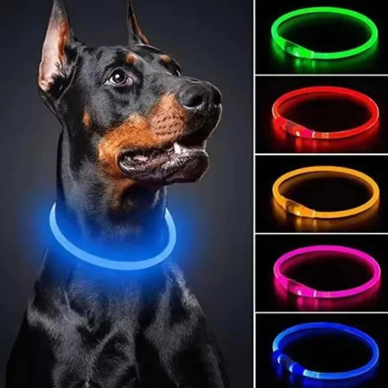 LED Light Up Dog Collar with USB Charging