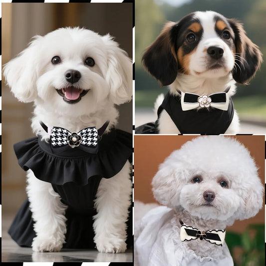 Pet Bow Tie Collar Set