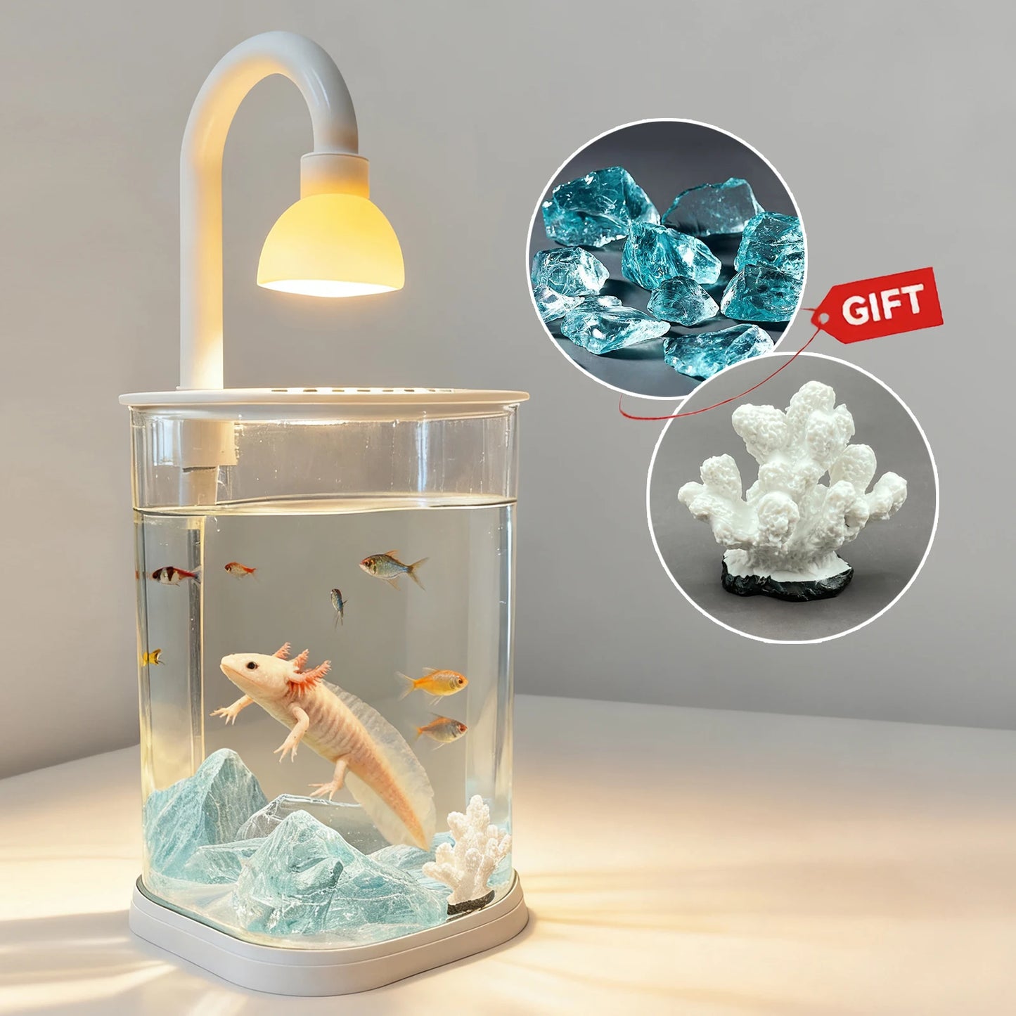 Mini Starter Fish Tank Kit with Light