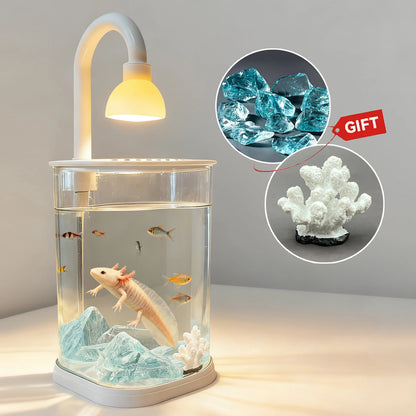 Mini Starter Fish Tank Kit with Light