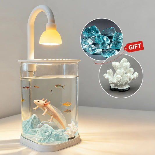 Mini Starter Fish Tank Kit with Light
