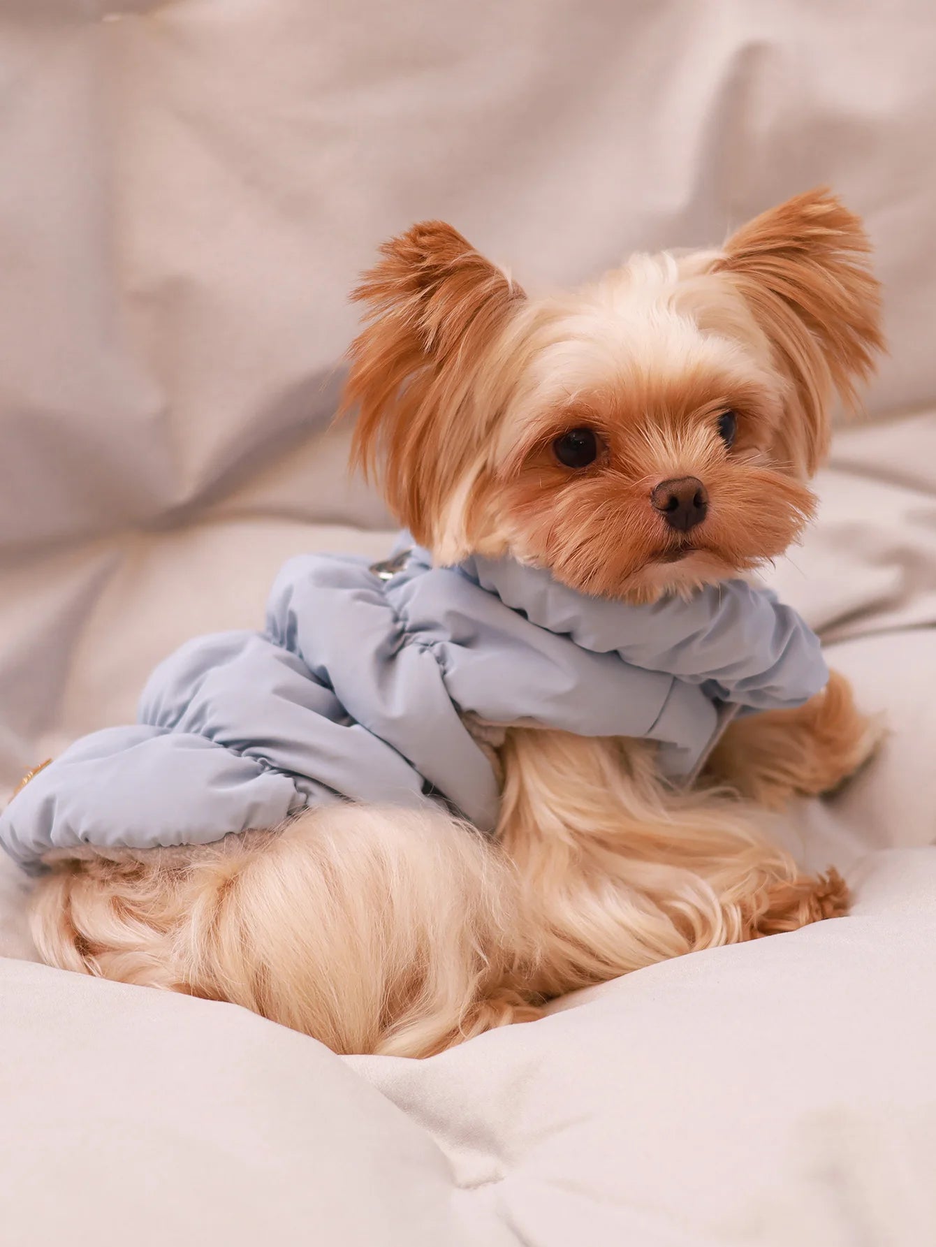Winter Quilted Dog Jacket