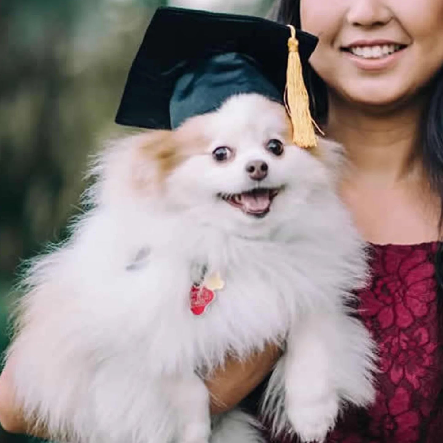 Pet Graduation Cap with Tassel
