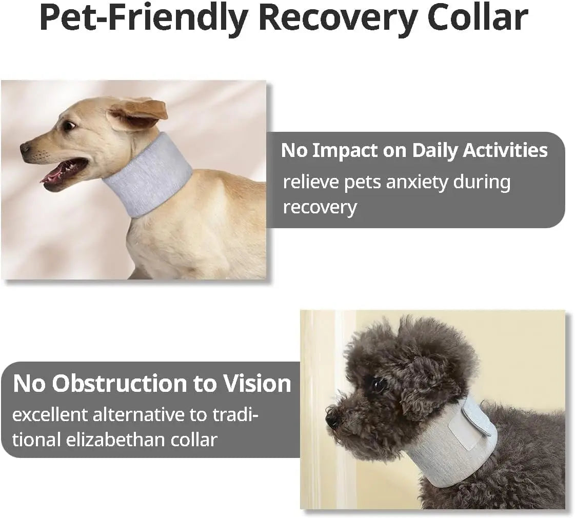 Adjustable Dog Neck Brace for Surgery Recovery