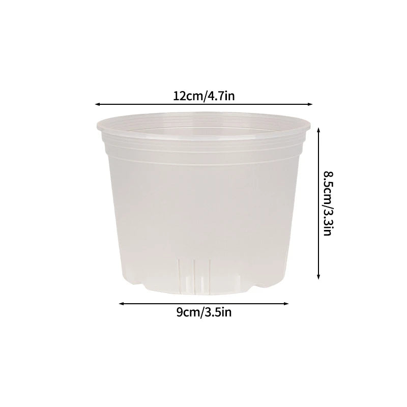 Transparent Nursery Plant Pot