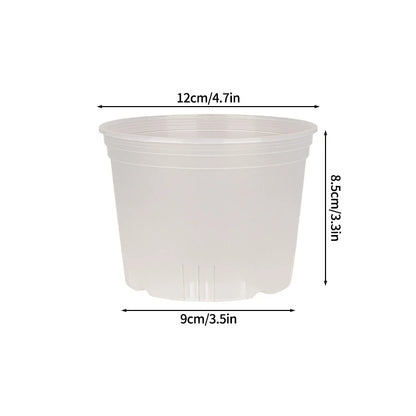 Transparent Nursery Plant Pot