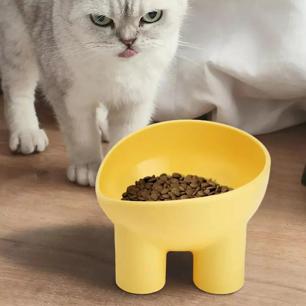 Elevated Tilted Pet Feeding Bowl