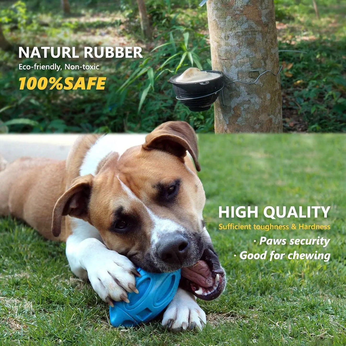 Durable Rubber Squeaky Dog Chew Ball Toy
