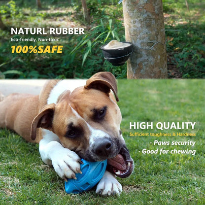 Durable Rubber Squeaky Dog Chew Ball Toy