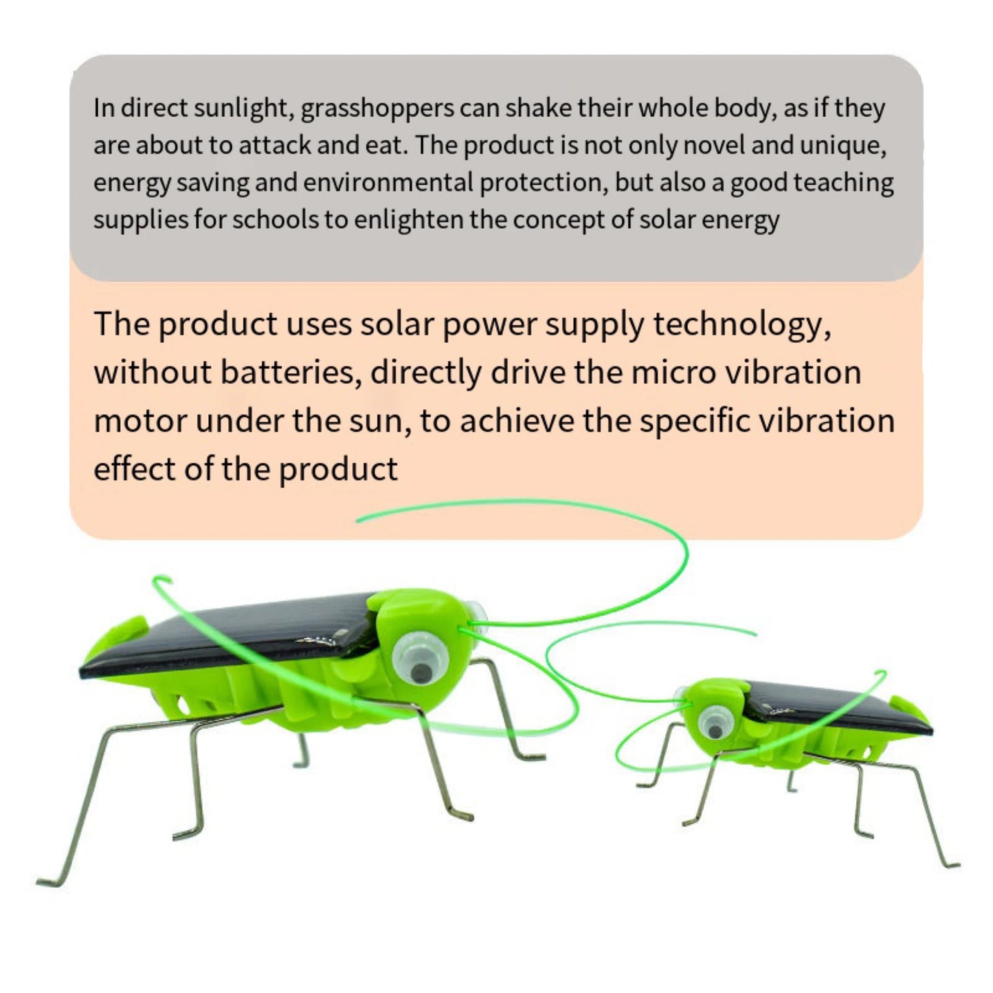 Solar Grasshopper Educational Toy