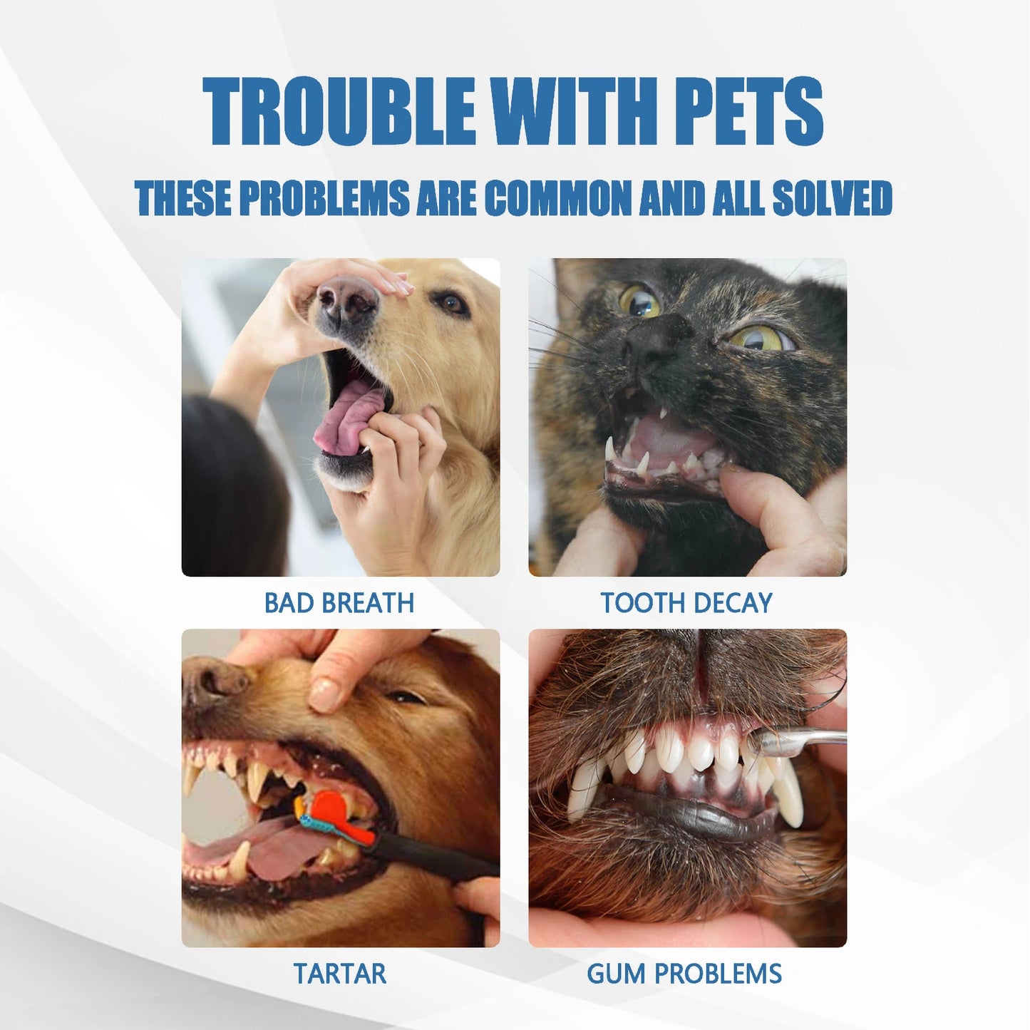Pet Dental Tartar Remover Foam for Dogs & Cats