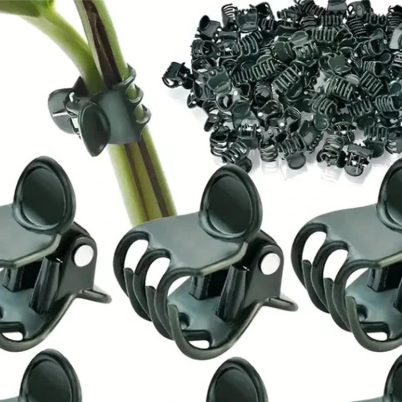 Plant Support Clips for Orchids & Vines