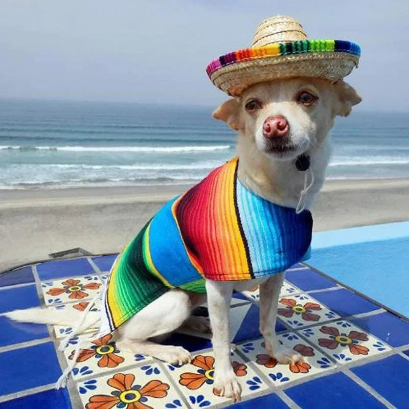 Pet Mexican Sombrero Hat for Dogs & Cats