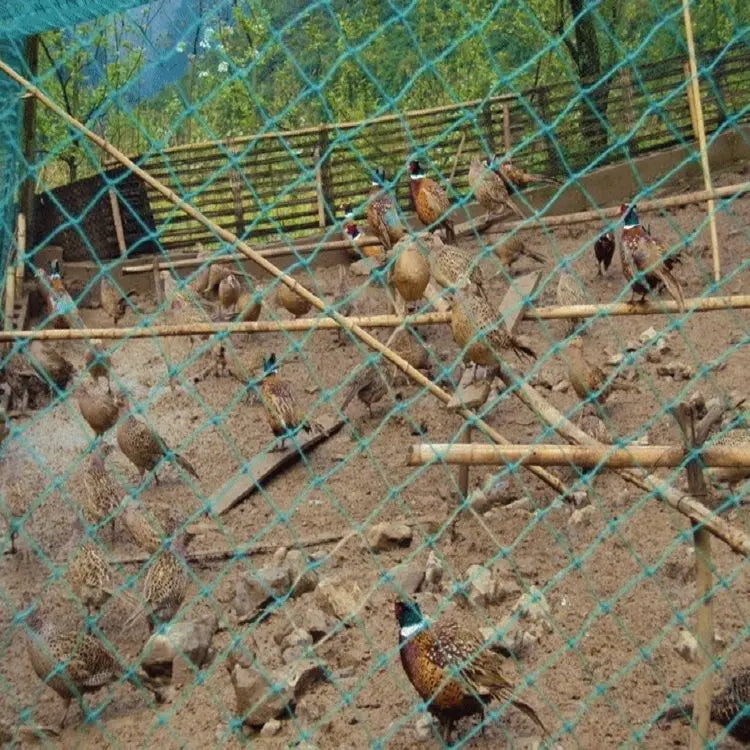 Heavy Duty Garden Protection Netting