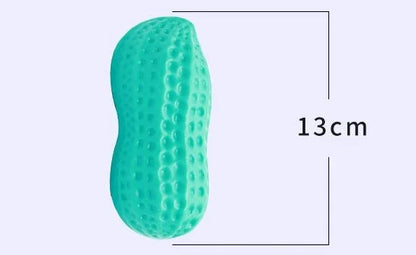 Peanut Squeaky Dog Chew Toy