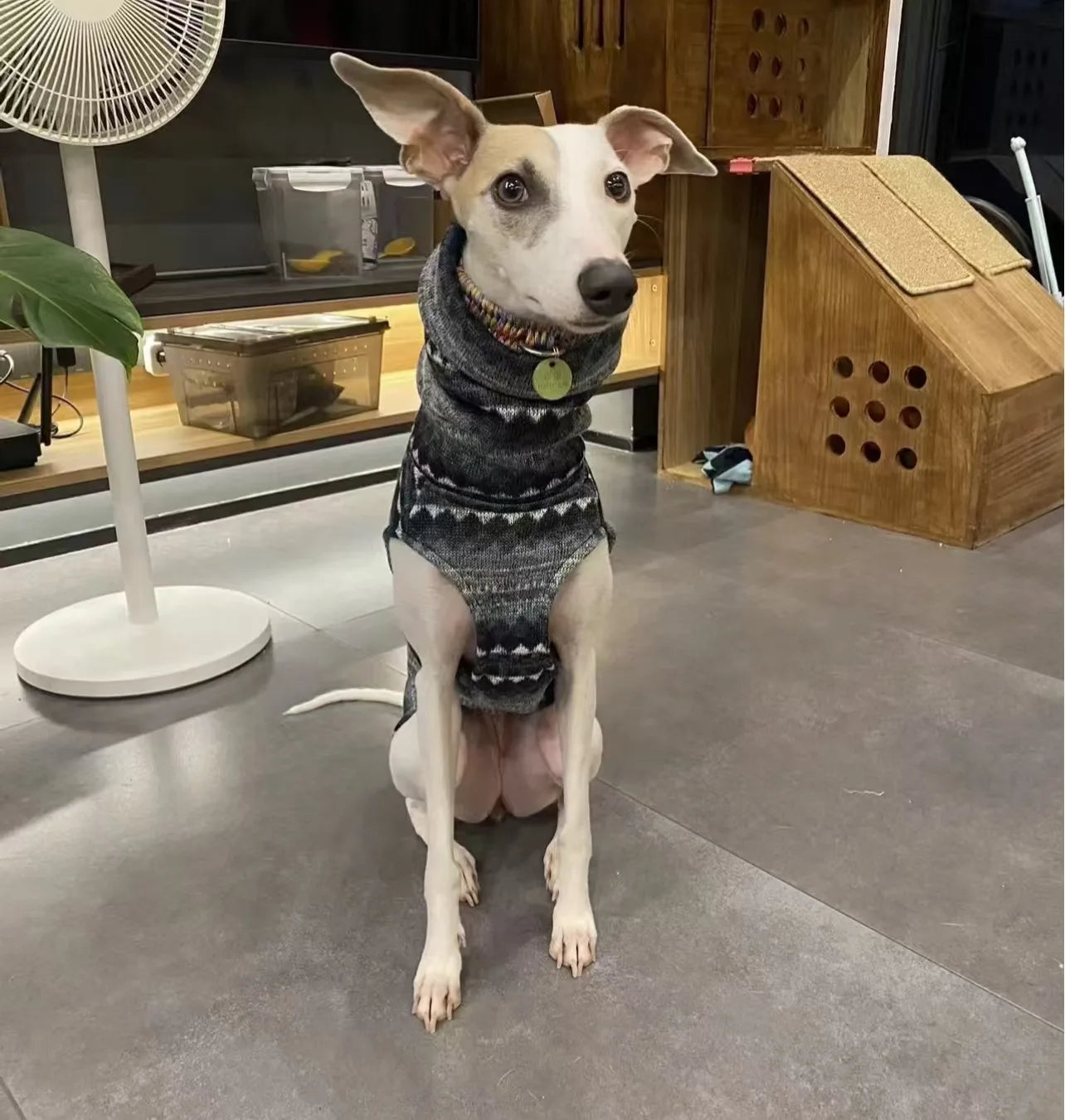 Greyhound Fleece High-Neck Dog Vest