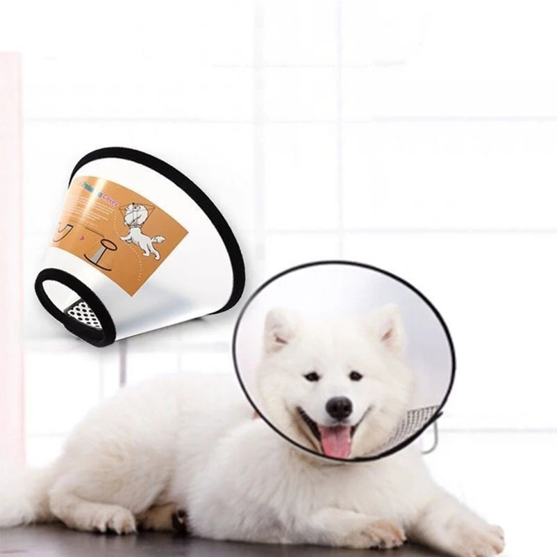 Transparent Pet Recovery Collar