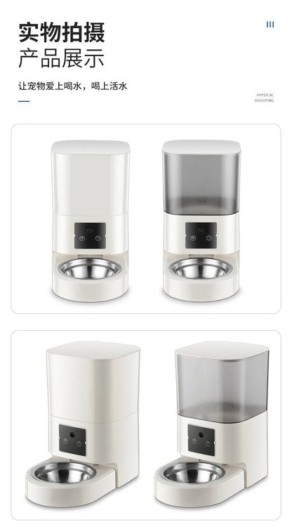 Programmable Timed Dry Food Dispenser for Cats & Small Dogs