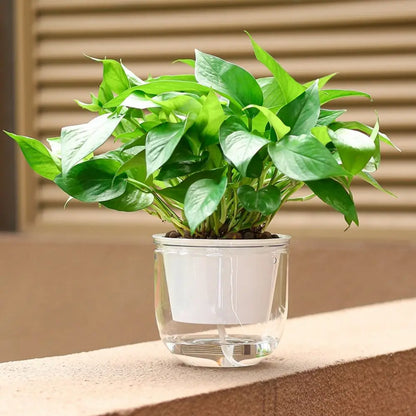 Self-Watering Hanging Planter Pot