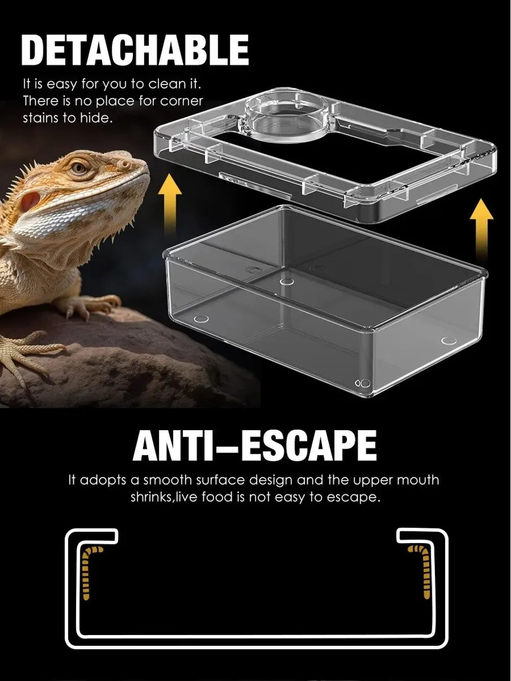 Anti-Escape Reptile Feeding Bowl