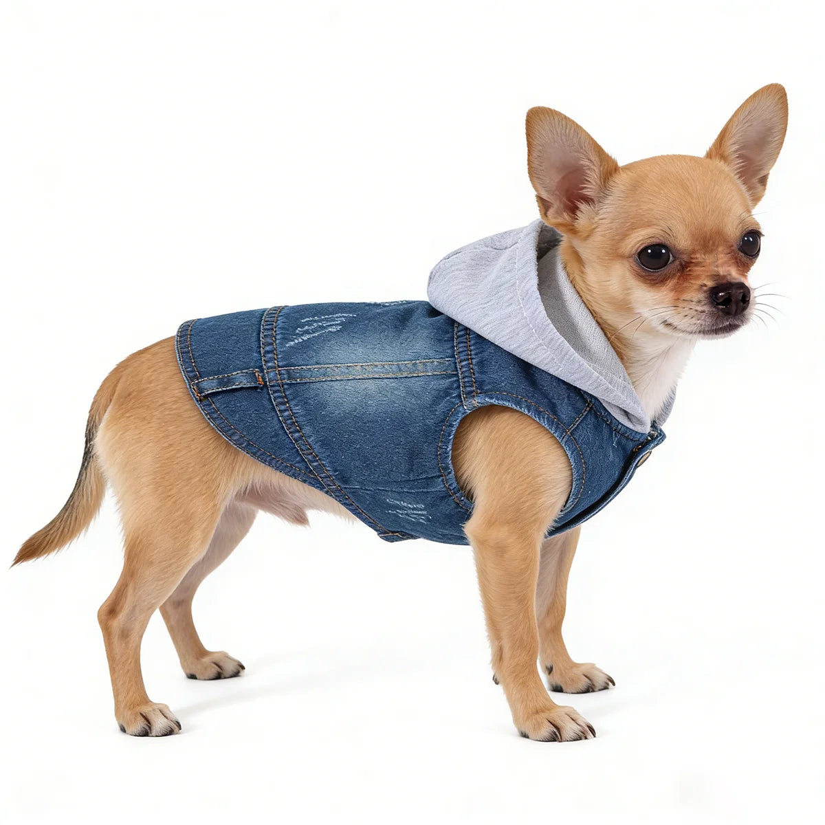 Denim Dog Jacket with Hood