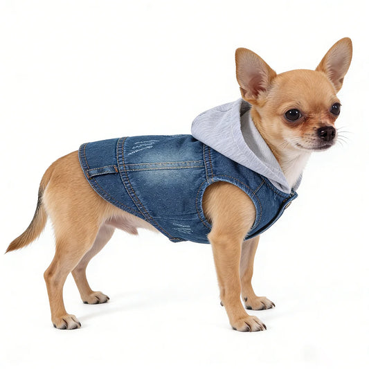 Denim Dog Jacket with Hood