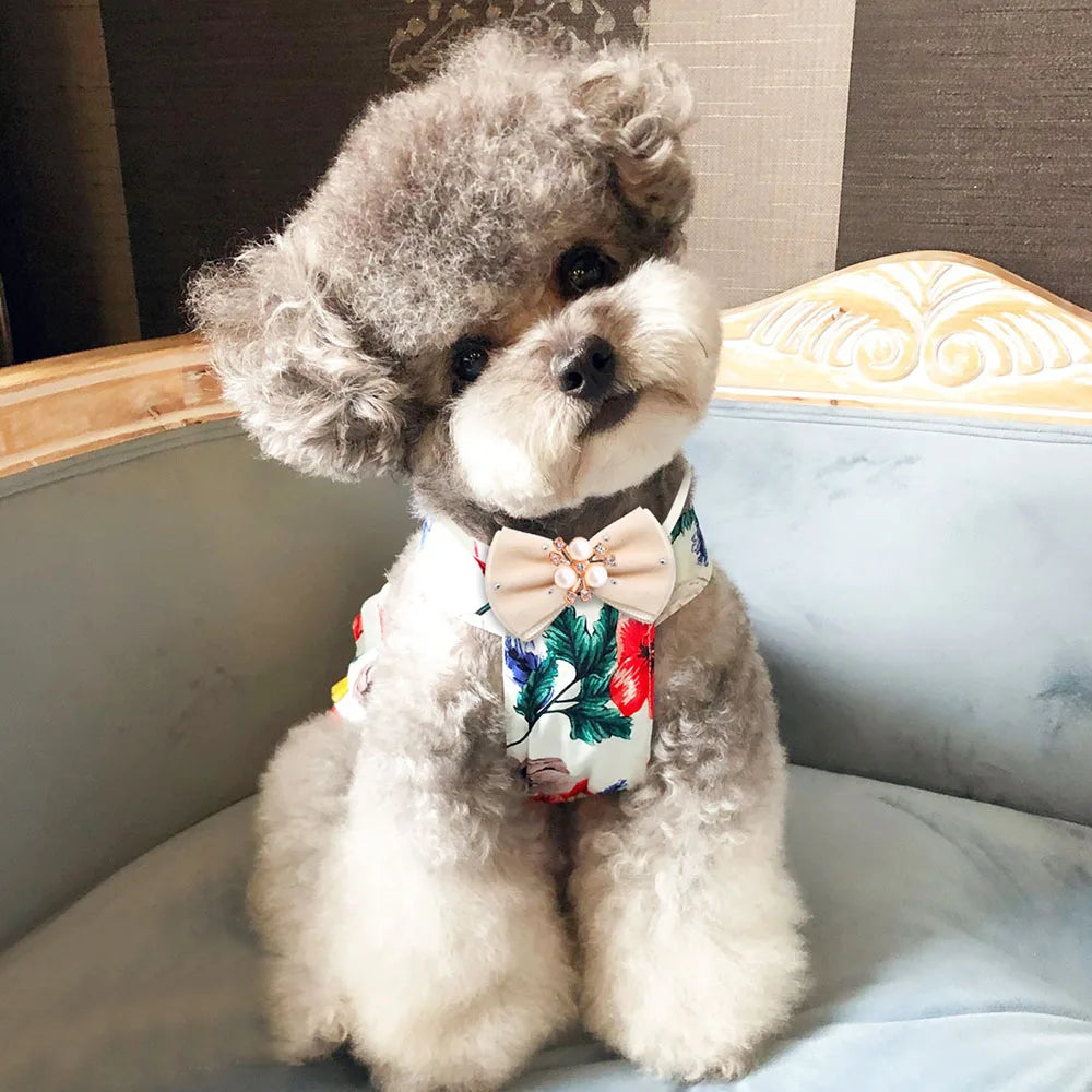 Winter Dog Bowtie Set with Diamond Design