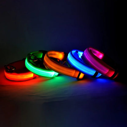 LED Flashing Dog Collar