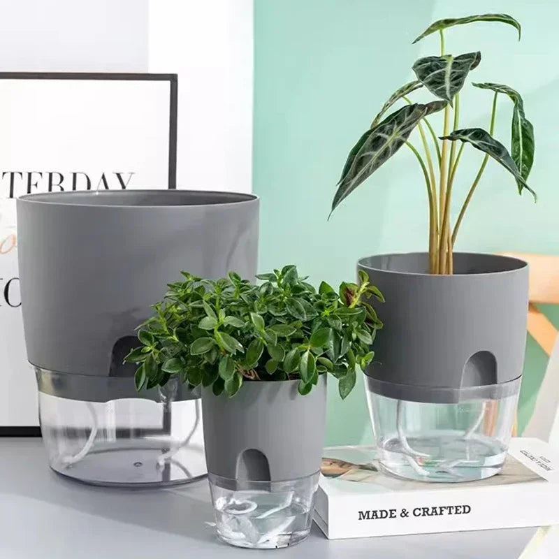 Self-Watering Hydroponic Plant Pot